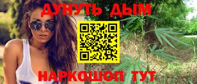 сатива Аргун
