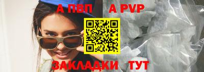 сатива Аргун