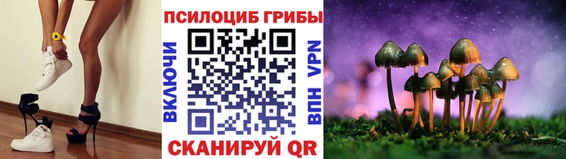 Галлюциногенные грибы Psilocybe Ишим