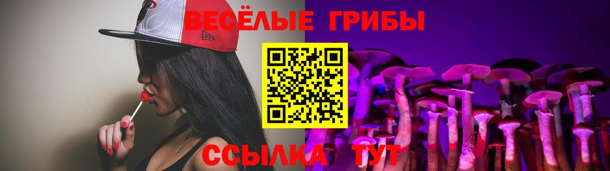 Ишим  Псилоцибиновые грибы ЛСД  Вход с VPN  Галлюциногенные грибы Psilocybine cubensis 